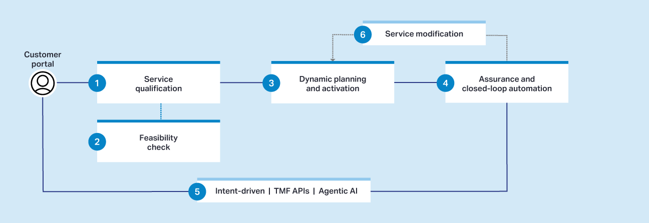 Blue Planet NaaS service lifecycle diagram