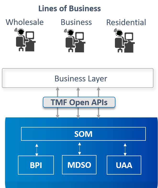 Diagram showing the lines of busines for Service Order Management