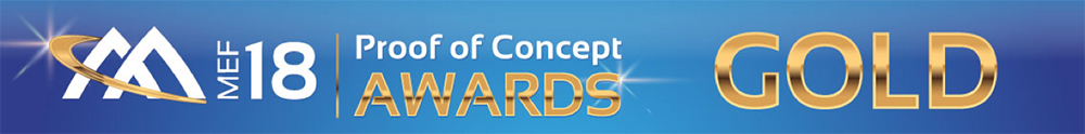 MEF Proof of Concept Awards Gold 2018