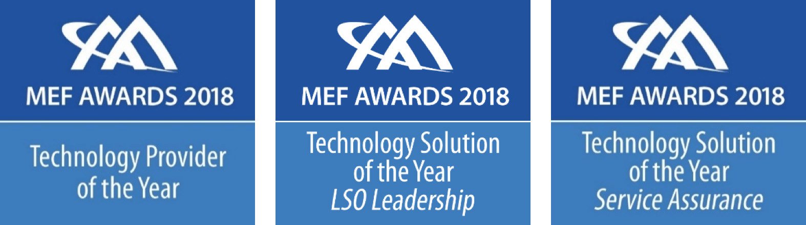 MEF 2018