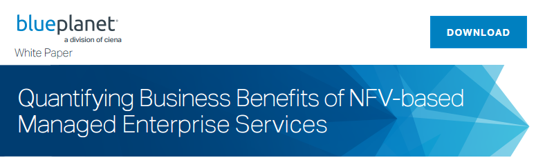 Quantifying Business Benefits of NFV-based Managed Enterprise Services promo
